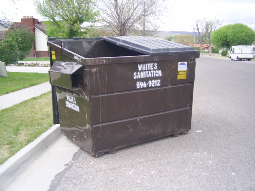 Dumpster on the Street with Whites Sanitation and phone number