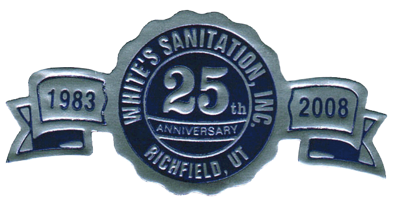WSIanniversaryLogo