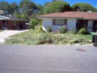 Branches need to be cut into lengths no longer than 6 feet and bundled. Svg+xml,%3Csvg%20xmlns%3D%22http%3A%2F%2Fwww.w3