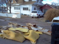 Carpet and pad needs to be neatly rolled and placed out in lengths no longer than 6 feet.