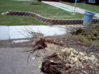 We will not take stumps. We cannot take anything that cannot be lifted by a person of average strength.