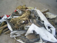 Would you want to pick this up?